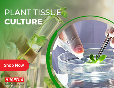 Plant Tissue Culture