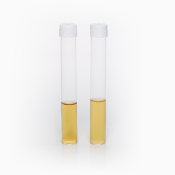 Lactobacillus MRS Broth, Granulated (MRS Broth, Granulated) 500G