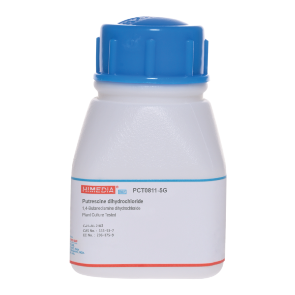 Putrescine dihydrochloride 1G